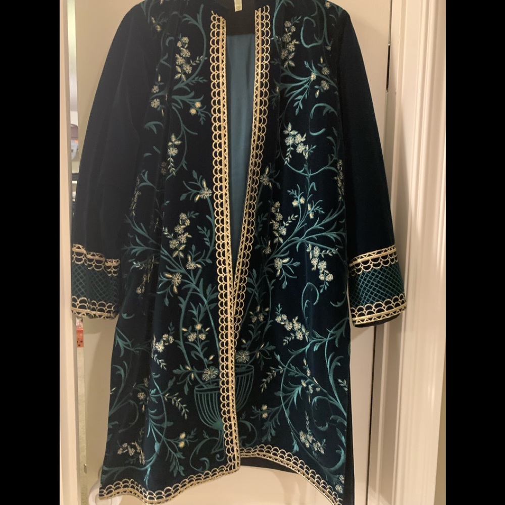 Beautiful embroidered velvet dress..